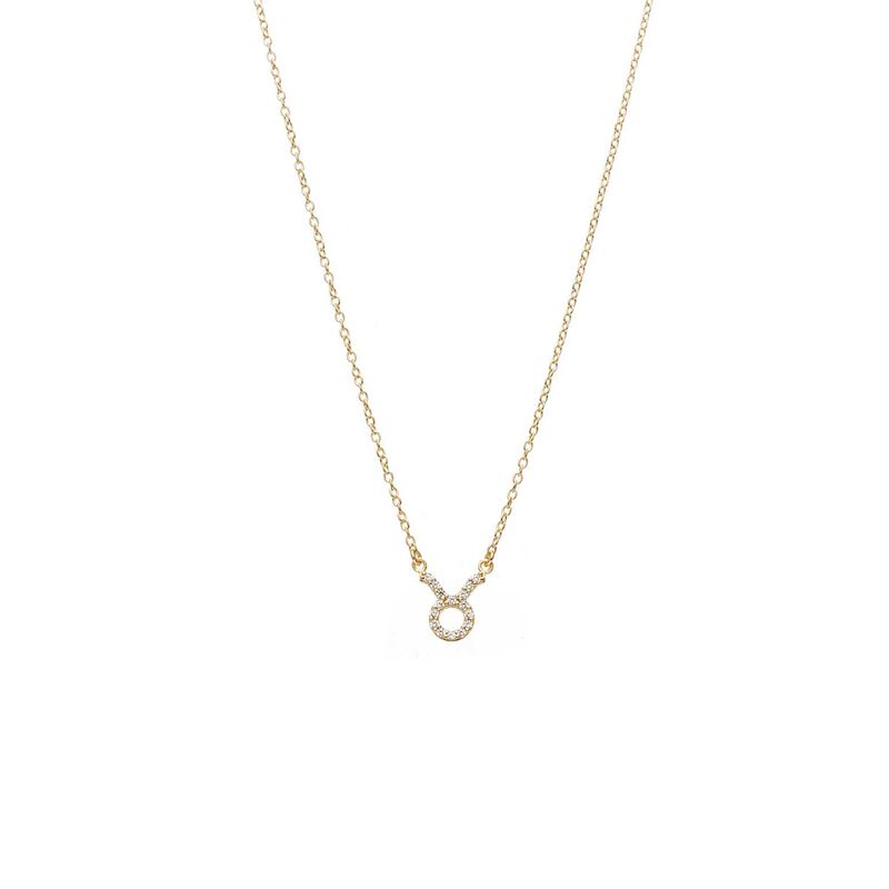 Silk & Steel Taurus Necklace image number 0